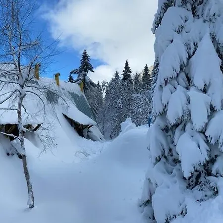 ~chalet_rifugio Tra I Boschi~ 셀라 네비아